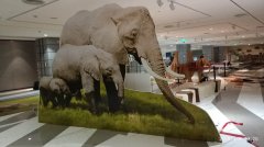 活動(dòng)策劃模型展具制作