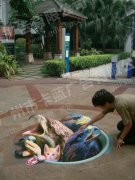 3d畫展，3D地板畫，3D墻畫，三d墻壁廣告景觀畫