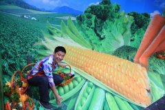 找樸素穩(wěn)妥廣州活動(dòng)布場(chǎng)背景板搭建廠家才便宜